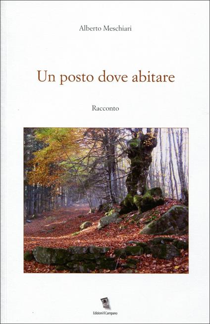 Un posto dove abitare - Alberto Meschiari - copertina