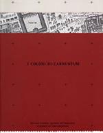 Die Siedler von Carnuntum. Bernsteinhändler, Kaiserpriester und Legionäre am Donaulimes