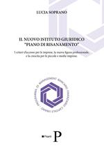 Il nuovo istituto giuridico «piano di risanamento». I criteri d'accesso per le imprese, la nuova figura professionale, e la crescita per le piccole e medie imprese