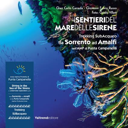 I sentieri del mare delle sirene. Trekking subacqueo da Sorrento ad Amalfi nell'AMP di Punta Campanella. Ediz. italiana e inglese - Gian Carlo Carrada,Giovanni Fulvio Russo - copertina