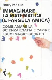 Immaginare la matematica (e farsela amica). Come amare la scienza esatta e capire i suoi magici segreti - Barry Mazur - 2