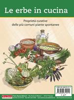 Erbe aromatiche e piante medicinali. Coltivazione, utilizzo e ricette per  la cura e la salute del corpo - Giacomo Superti - Libro - L'Età  dell'Acquario - Salute&benessere