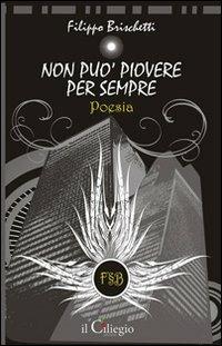 Non può piovere per sempre - Filippo Brischetti - copertina