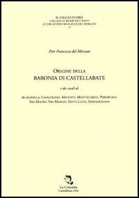 Origine della baronia di Castellabate e dei casali di Acquavella, Casalvelino, Matonti, Montecorice, Perdifumo, San Mauro, San Mango, Santa Lucia, Serramezzana - P. Francesco Del Mercato - copertina