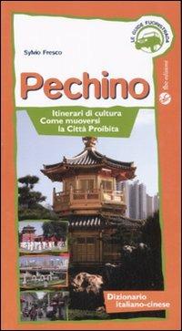 Pechino. Itinerari di cultura, come muoversi, la Città Proibita - Sylvio Fresco - 4