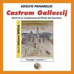 Castrum Galluccij. Storia di un insediamento fortificato nel casertano. CD-ROM. Ediz. illustrata