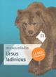 Ursus ladicinus. Le pice acompagnadù. Ediz. ladina - Gernot Rabeder,Herwig Prinoth,Florian Kronbichler - copertina