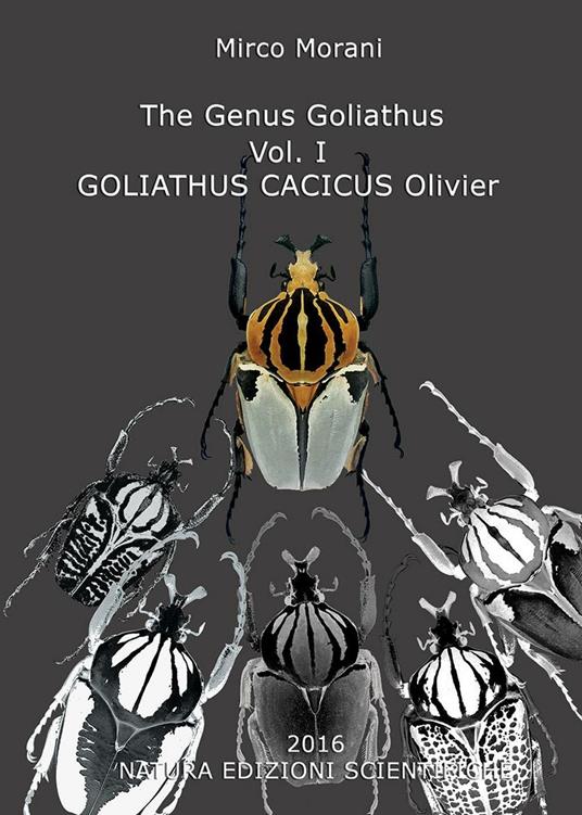 The Genus Goliathus. Vol. 1: Goliathus cacicus Olivier. - Morani Mirco - copertina
