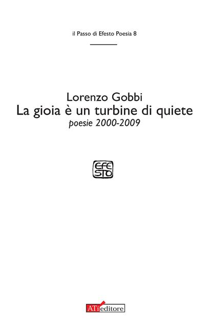 La gioia è un turbine di quiete - Lorenzo Gobbi - copertina