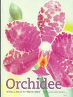 Orchidee