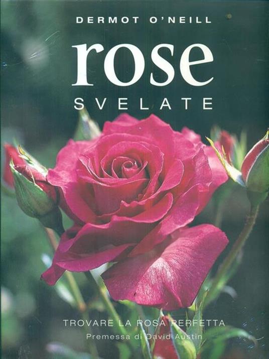 Rose svelate - Dermot O'Neill - 2