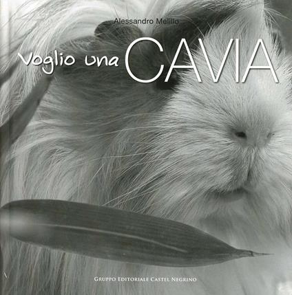 Voglio una cavia - Alessandro Melillo - copertina