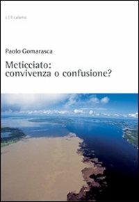 Meticciato: convivenza o confusione? - Paolo Gomarasca - copertina