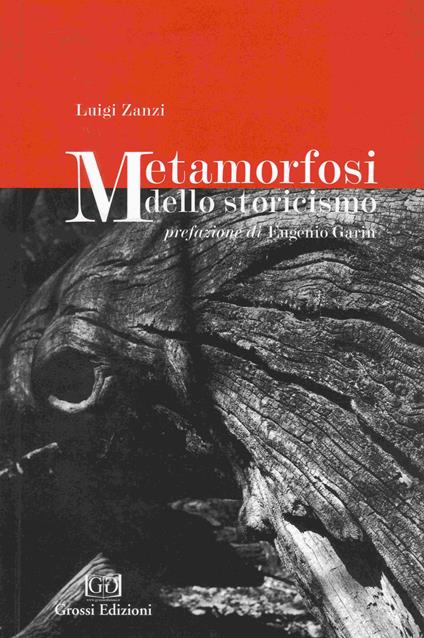 Metamorfosi dello storicismo - Luigi Zanzi - copertina