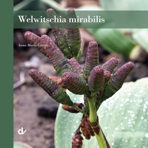 Welwitschia mirabilis - Anna Maria Carafa - copertina