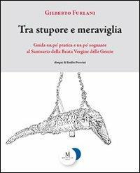 Tra stupore e meraviglia. Guida un po' pratica e un po' sognante al santuario della beata Vergine delle Grazie - Gilberto Furlani - copertina