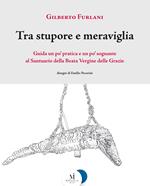 Tra stupore e meraviglia. Guida un po' pratica e un po' sognante al santuario della beata Vergine delle Grazie