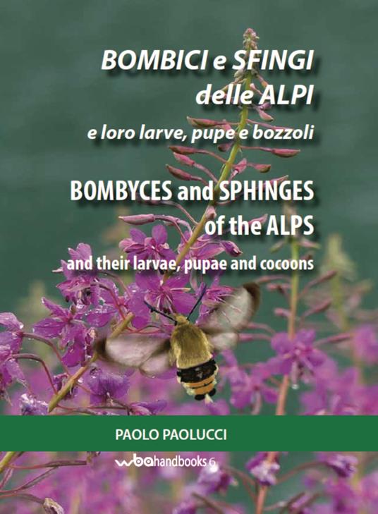 Bombici e sfingi delle Alpi e le loro larve, pupe e bozzoli. Ediz. italiana e inglese - Paolo Paolucci - copertina