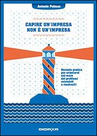 Capire un'impresa non è impresa. Bussola pratica per orientarsi nel mare dei problemi aziendali e risolverli! - Antonio Palmas - copertina