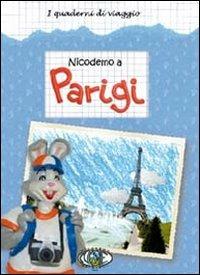 Nicodemo a Parigi - copertina