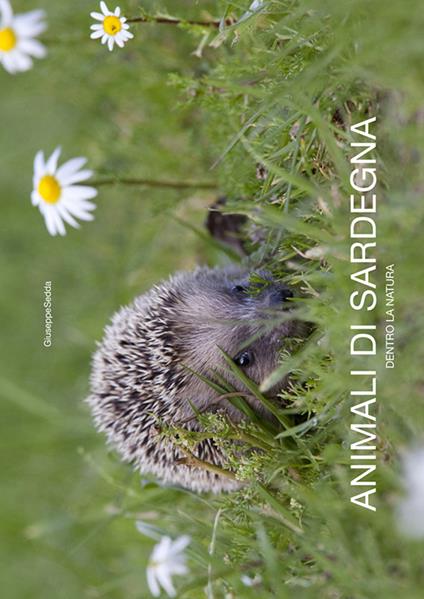 Animali di Sardegna. Dentro la natura. Ediz. italiana e inglese - Giuseppe Sedda - copertina