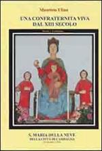 Una confraternita viva dal XIII secolo. S. Maria della Neve della città di Campagna (13 dicembre 1258)