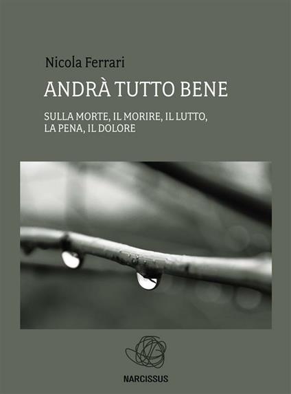 Andrà tutto bene. Sulla morte, il morire, il lutto, la pena, il dolore - Nicola Ferrari - ebook