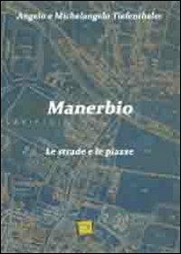 Manerbio. Le strade e le piazze - Angelo Tiefenthaler,Michelangelo Tiefenthaler - copertina