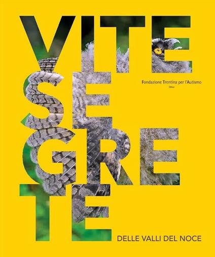 Vite segrete delle valli del Noce. Ediz. multilingue - copertina