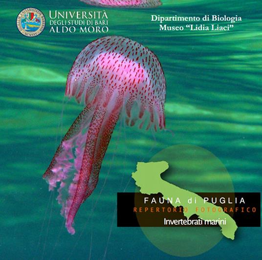 Invertebrati marini. Fauna di Puglia. Repertorio fotografico. DVD-ROM - copertina