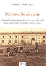 Mantova fin de siècle. Fotografie stereoscopiche e iconografia nelle guide turistiche tra Otto e Novecento