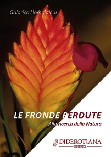 Le fronde perdute. Alla ricerca della natura - Galarico Homolaicus - copertina