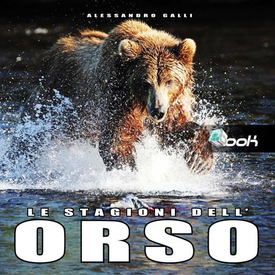 Le stagioni dell'orso. Ediz. illustrata - Alessandro Galli - copertina