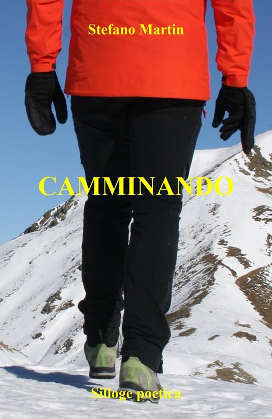 Camminando. Ediz. multilingue - Stefano Martin - copertina