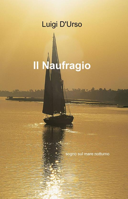 Il naufragio - Luigi D'Urso - copertina