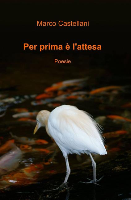 Per prima è l'attesa - Marco Castellani - copertina