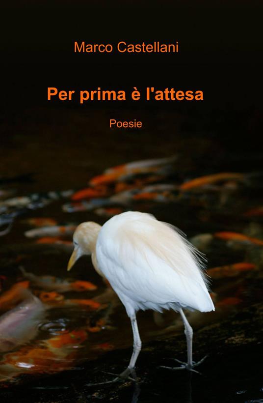 Per prima è l'attesa - Marco Castellani - copertina