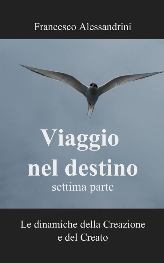 Viaggio nel destino. Vol. 7 - Francesco Alessandrini - copertina