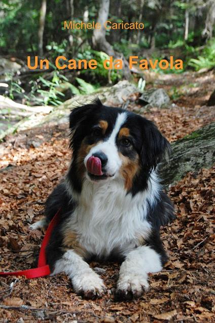 Un cane da favola - Michele Caricato,Laura Di Marco - ebook