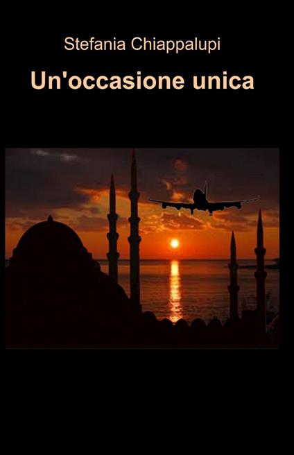 Un' occasione unica - Stefania Chiappalupi - copertina