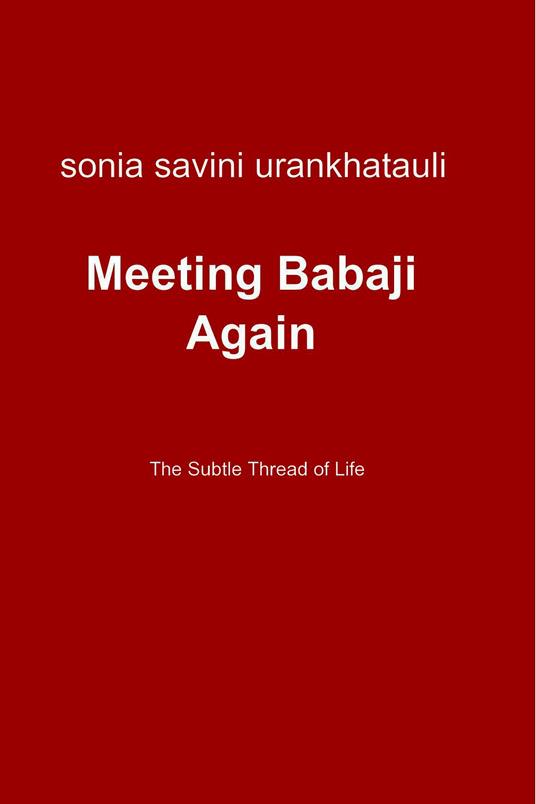 Meeting Babaji Again - Sonia Savini - ebook