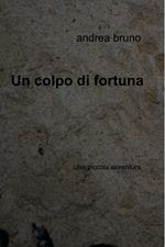 Un colpo di fortuna