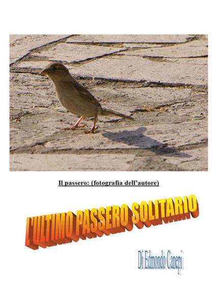 L' ultimo passero solitario - Edmondo Canepi - ebook