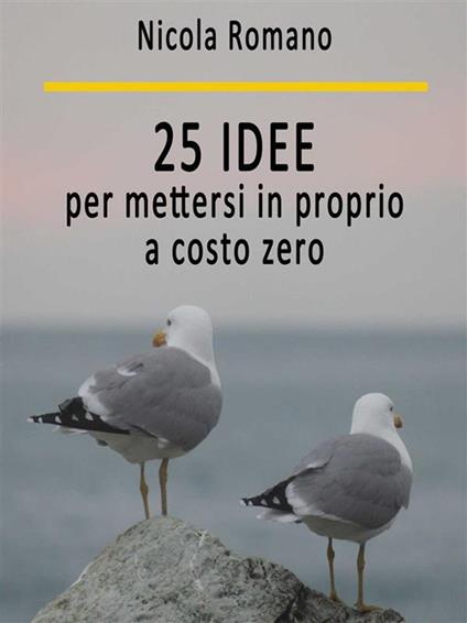 25 idee per mettersi in proprio a costo zero - Nicola Romano - ebook