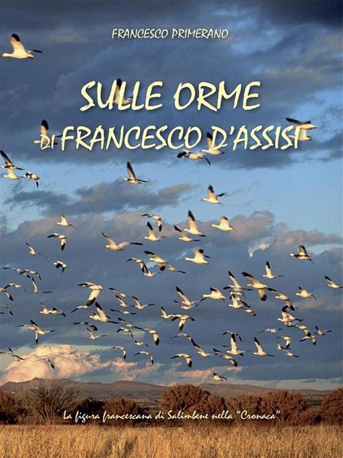 Sulle orme di Francesco d'Assisi - Francesco Primerano - ebook