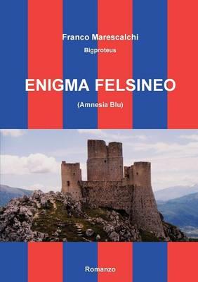 Enigma felsineo (Amnesia blu) - Franco Marescalchi - copertina