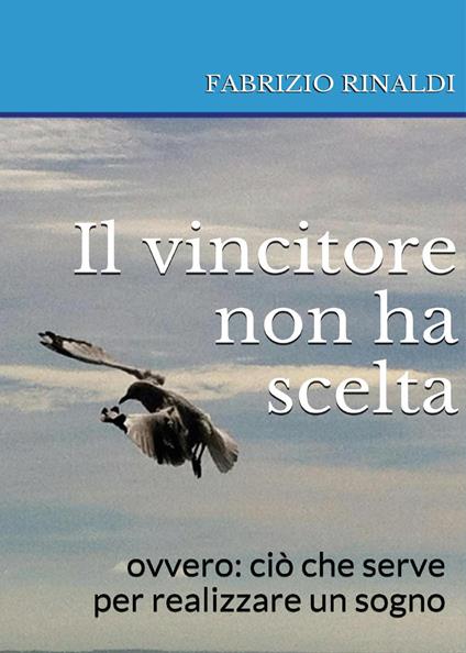 Il vincitore non ha scelta - Fabrizio Rinaldi - copertina