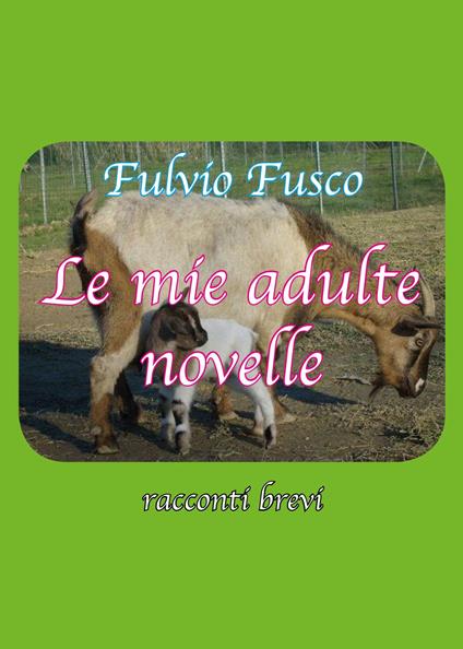 Le mie adulte novelle - Fulvio Fusco - copertina