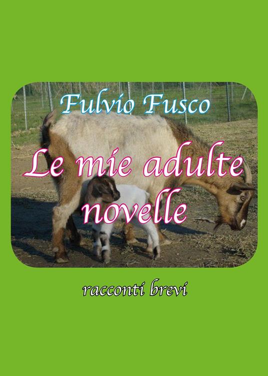 Le mie adulte novelle - Fulvio Fusco - copertina