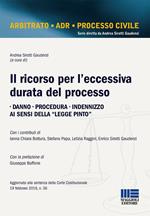 Il ricorso per l'eccessiva durata del processo